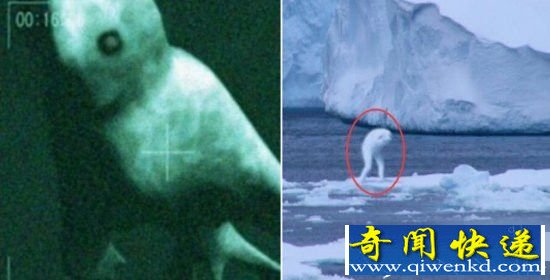 南极洲1惊天谜案:或与史前文明有关
