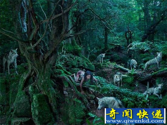 盘点全球人类被野兽养大案例 狼孩儿结局竟这样?