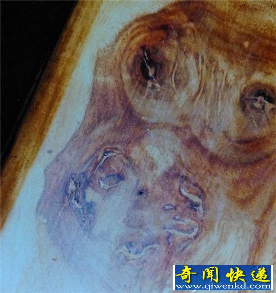 外星人地球藏身之地竟在这:你万万不会想到!