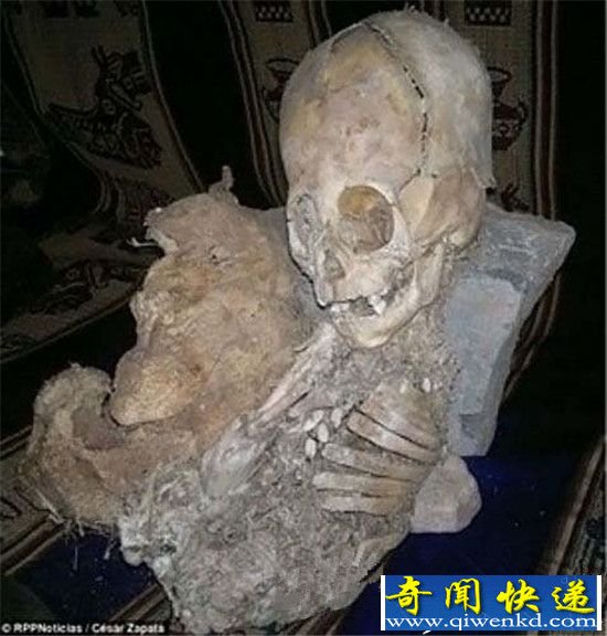 秘鲁发现诡异的巨头干尸 或是远古人类变异