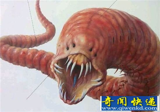 世界十大神秘怪兽 蒙古死亡之虫未解之谜