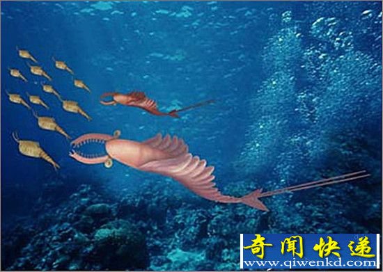 5.4亿年前生物进化 或导致寒武纪生命大爆发