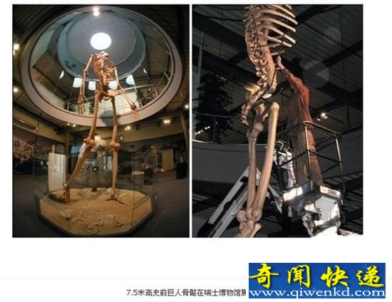 揭秘:人类历史之前是否存在巨人和矮人