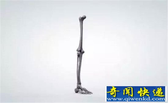 人类进化十大最不可思议之谜:人类竟和穴居人发生性关系