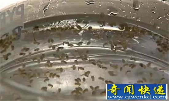 人类进化十大最不可思议之谜:人类竟和穴居人发生性关系