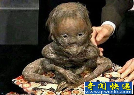 揭秘世界18大神秘生怪兽生物:恶魔还是怪兽?