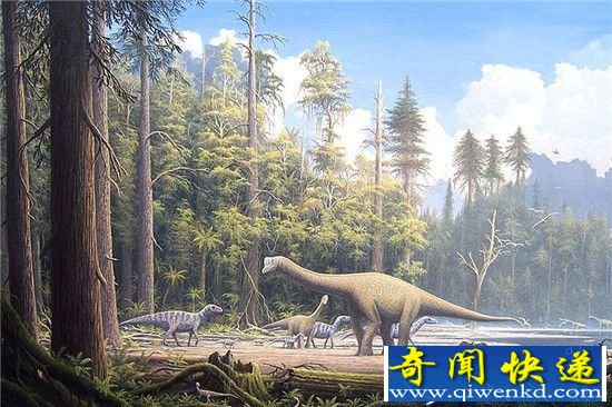 生物灭绝之谜 海洋酸化或导致地球史上最大规模物种灭绝