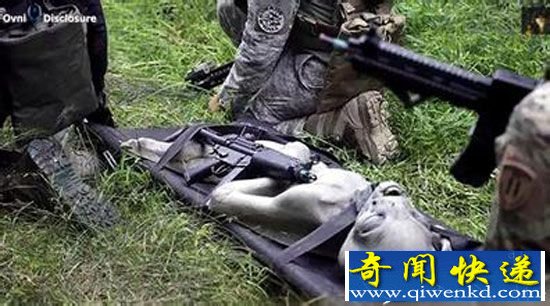 外星人早已隐居人类家园?揭全球最神秘事件