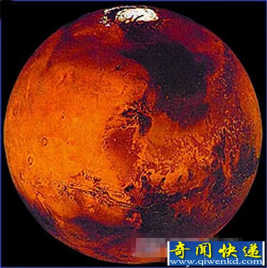 震惊!科学家在火星地下发现神秘生物