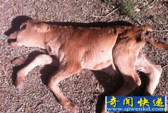 爆!外星人来访地球惊人铁证遭