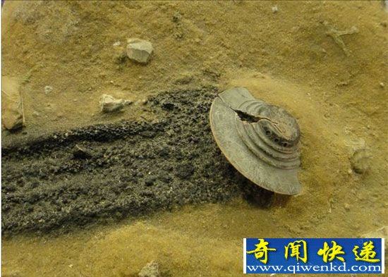 NASA联合美国军方企图隐瞒外星人惊天秘密档案