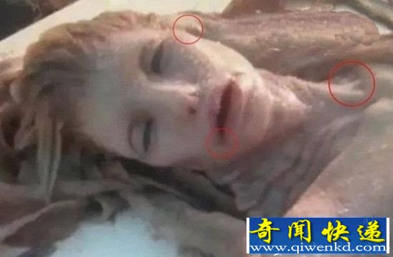 真实美人鱼是否存在 国外美人鱼尸体事件解密