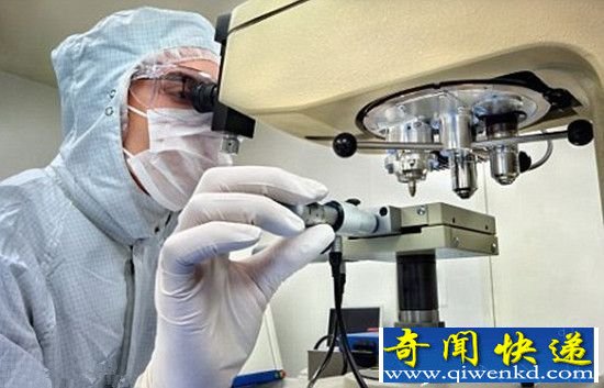 英国进行150例人兽杂交实验并非秘密进行