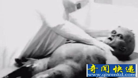 地球神秘生物不只是外星人