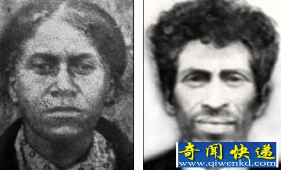 全球野人目击震惊科学家!喜马拉雅雪人揭秘