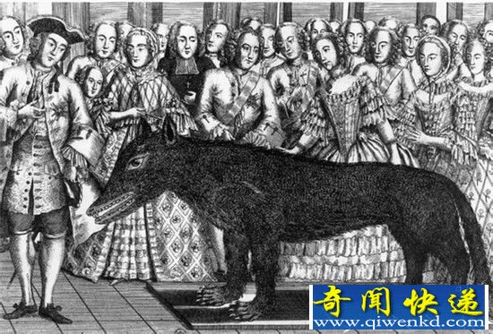 恐怖怪兽热沃当怪兽 专吃人类