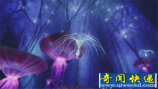 恐怖证据曝光:外星人在地球播撒外星生命种子