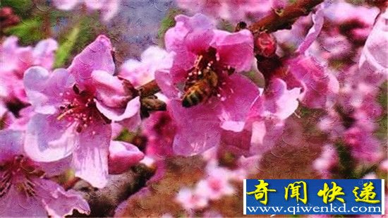 流形外星人袭击科学院博士 军队插手搜寻地外生物
