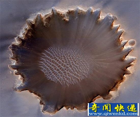 外星生命真的存在 数个生命痕迹被找到