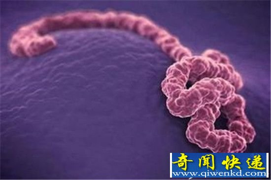 外星寄生虫寻找人类宿主 20万人已被感染