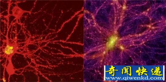 宇宙是个巨大生物体 不同尺度宇宙共享资源