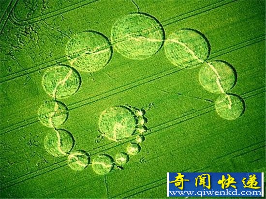 麦田怪圈是外星人留下的信息 或为UFO制作蓝图
