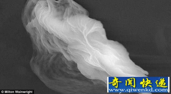 英科学家发现太空外星生命 距地球仅40公里!