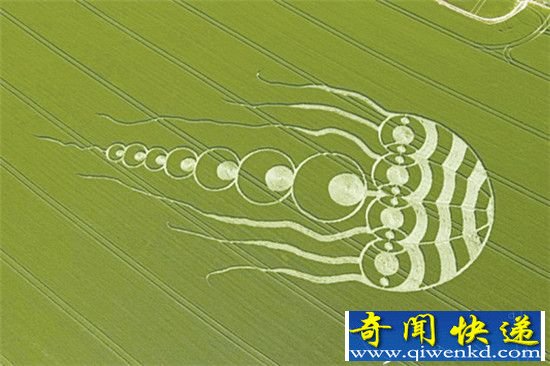 Ȧڲ  Ҫƾӵ