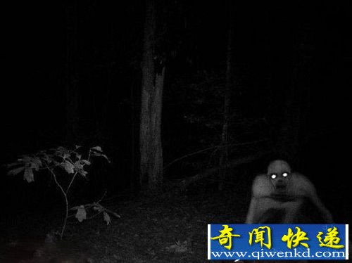 外星人来到地球?12种震惊世界的诡异生物