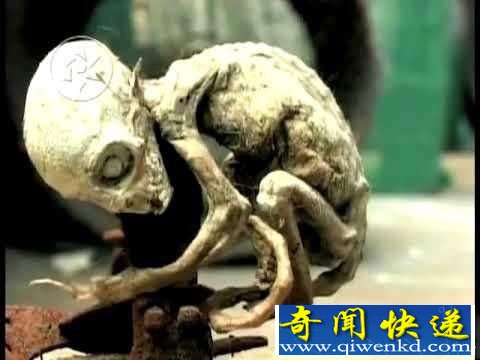 外星人来到地球?12种震惊世界的诡异生物