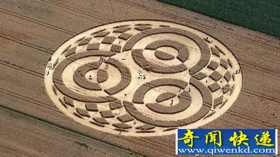 德国农场一夜形成麦田怪圈 或为外星人讯息