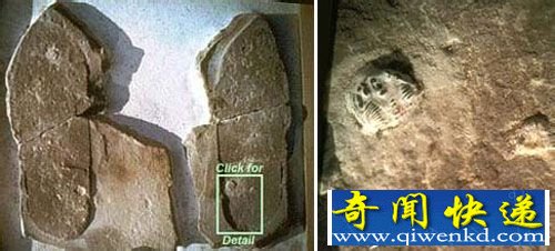 外星人存在的九大证据 访问地球可追溯史前