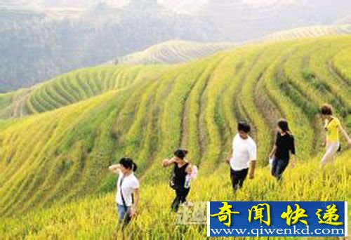 古代 文人 重阳 登高 游山玩水