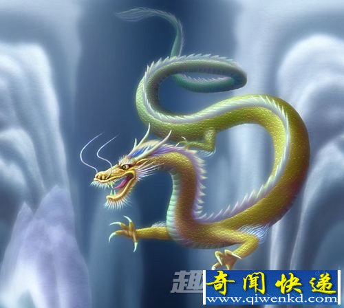 神兽