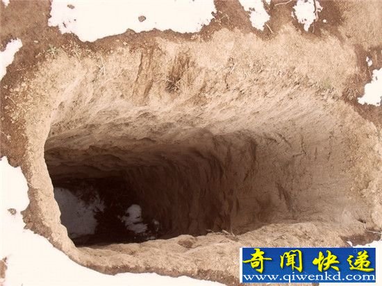 盗墓贼的8大恐怖死法:分分钟给墓主陪葬