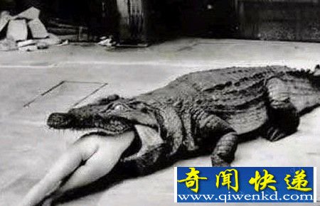 瞠目结舌!古代世界恐怖刑罚 用动物处死人类