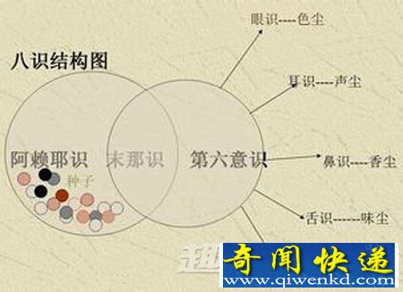 超自然感知:揭神秘的“第八感”