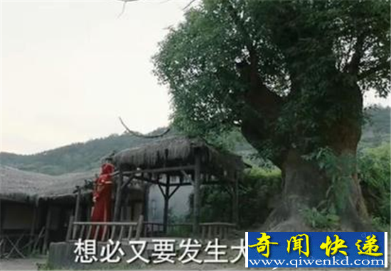 择天记结局曝光 黑袍并非最终boss红袍身份揭秘