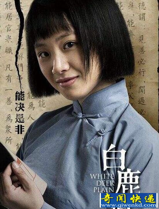 白鹿原电视剧全集分集剧情介绍:白鹿原人物关系详解