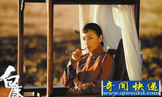 白鹿原电视剧全集介绍:白鹿原停播居然是这个原因?