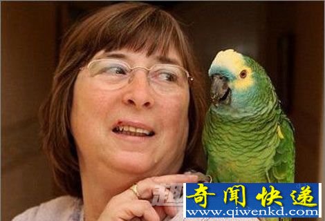 前世今生:转世情人真的存在吗?
