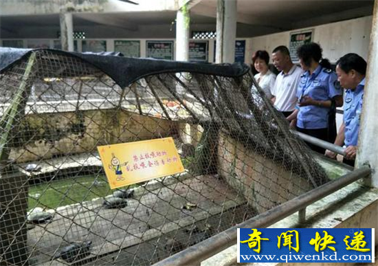海口动物园成炼狱 动物变死尸太恐怖