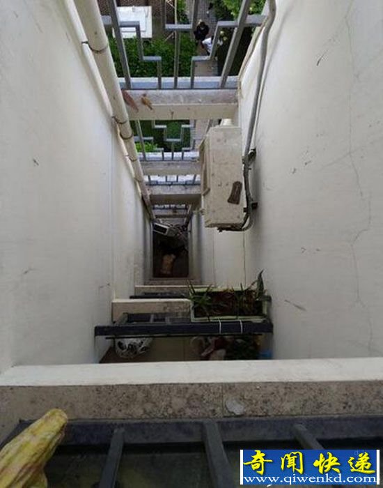 上海宝山发生坠楼:女子当场身亡 现场惨不忍睹