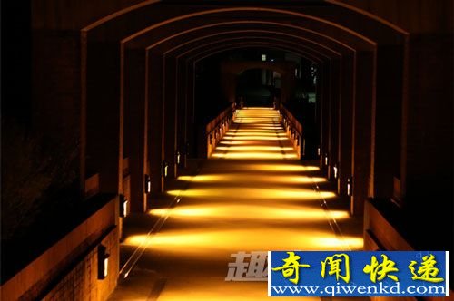 没有人听见的叫喊