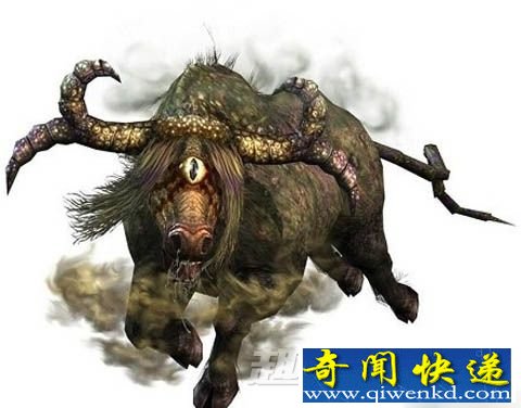 传说中的怪兽龙