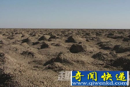 罗布泊