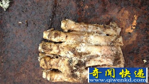 十大灵异事件