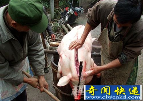 砸猪头