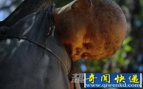 娃娃岛