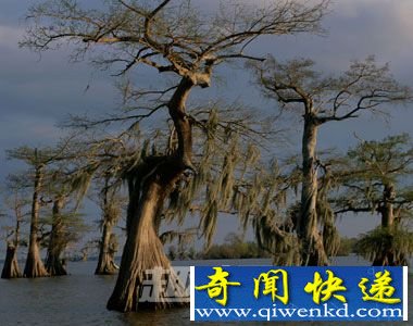 路易斯安那州